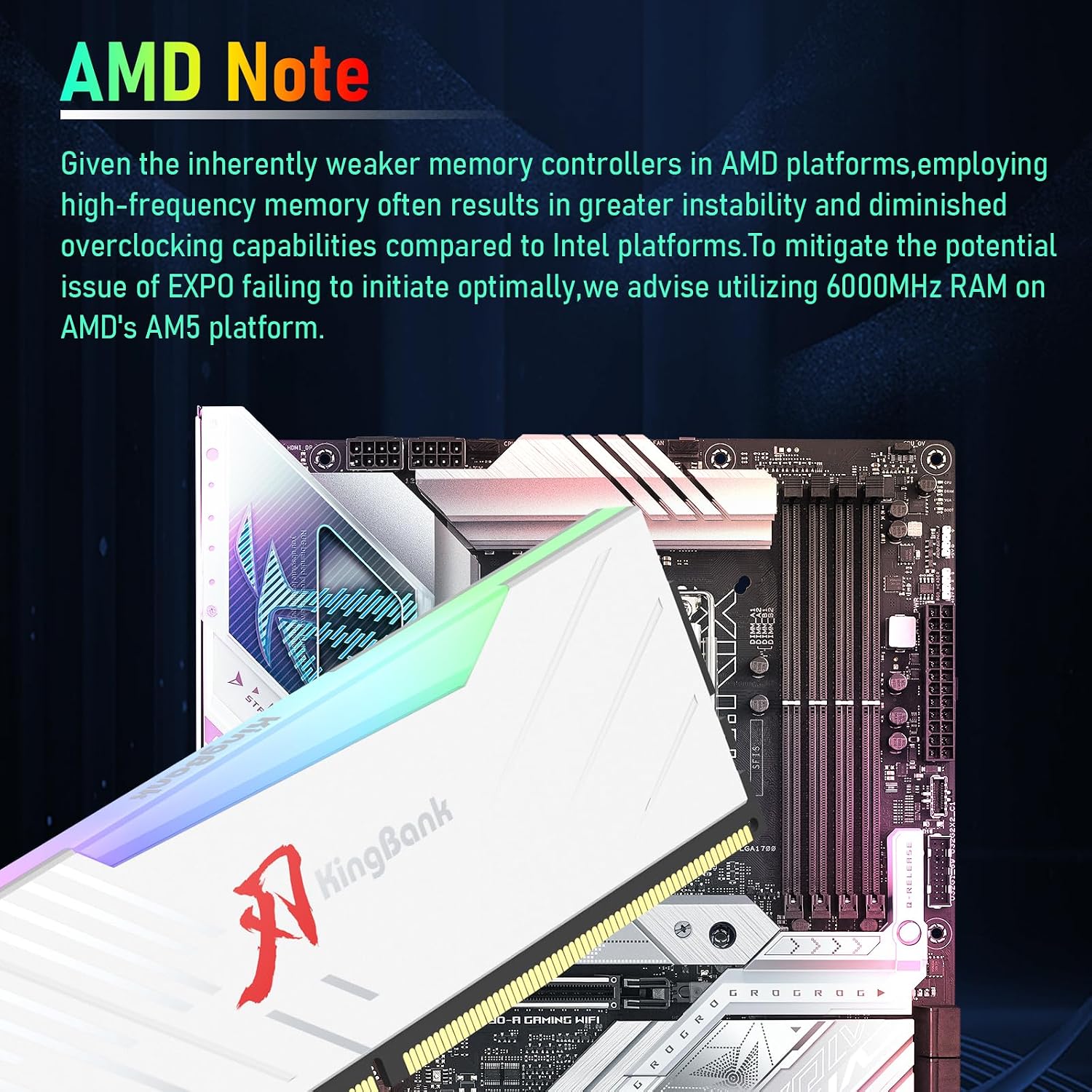 KINGBANK KRRW DDR5 RGB RAM 16G - Ddr5 16Gb 6000Mhz review and price