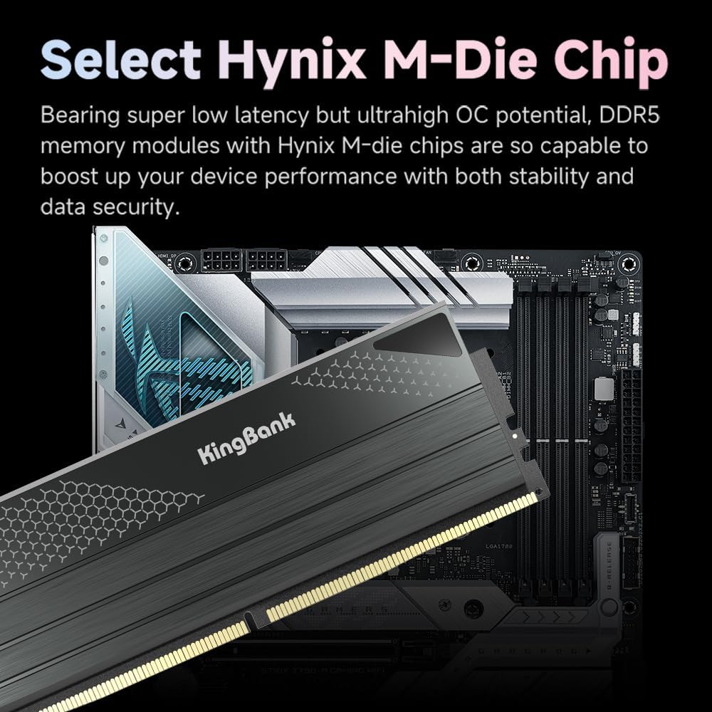 KingBank DDR5 KFXB Memory 48GB - Ddr5 64Gb review and price